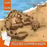 Close Reading Comprehension 'The Sand Castle’