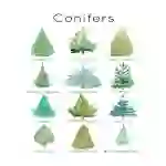 Conifer Flashcards | Evergreen Christmas Tree Flashcards Set | Instant Download