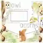 Count and Match Educational Poster