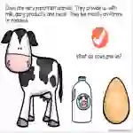Cow Life Cycle Adapted Book - Google Slides