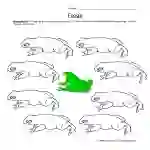 Describing Frogs Worksheet