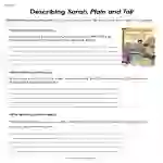 Describing Sarah Plain and Tall Worksheet