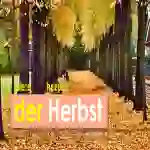 Die Jahreszeiten und die Monate