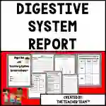 Digestive System Activities | Digestive System Research Report