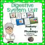 Digestive System Unit | Anatomy and Physiology