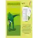 Dinosaur Discovery: Practise Information Writing (9-13 years)