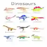 Dinosaur Flash Cards | Printable Learning Resources