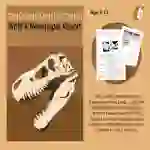 Dinosaur Skulls Found: Write A Newspaper Report (9-13 years)
