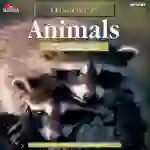 Discover! Animals
