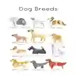 Dog Breed Flashcards | 101 Dalmatian Dog Breeds | Dog Breeds Printable Poster