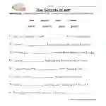 EAR Worksheet