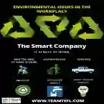 Environmental Issues Lesson Plan | Business English Level 2