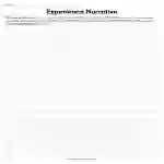 Experience Narrative Worksheet