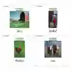 Farm Flash Cards