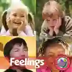 Feelings: A Sad, Mad, Grumpy, Happy Good Time Gr. 1