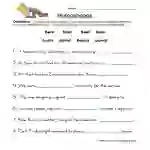 Fill in the Blank Homophones Worksheet