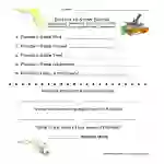 Florida Worksheet