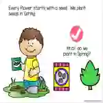 Flower Life Cycle Adapted Book Slide Deck