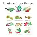 Forest Fruits Printable Watercolor Flashcards