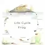 Frog Life Cycle Printable Poster
