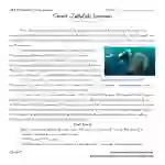 Giant Jellyfish Invasion - Reading Comprehension Worksheet
