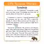 Grasslands Life Science Reading Comprehension Worksheet