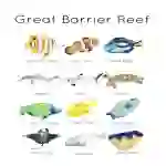 Great Barrier Reef Wildlife Flashcard and Poster Set