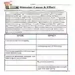 Hamster Cause and Effect Worksheet