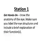 Healthy Eye – Lab Station Activity