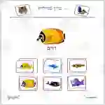 Hebrew: Sorting Activity non identical animals