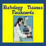 Histology Tissues Flashcards