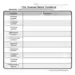 Human Body Systems Worksheet