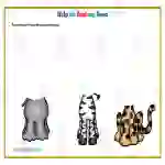 I Can't Find My Head | Animal Discrimination Activity