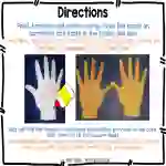 Interactive Notebook