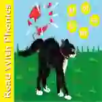 Introduces the phonic sounds ar, or, ir, ur and er.