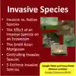 Invasive Species Lesson - Google Slides and Distance Learning Ready