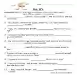 Its, It's Homophones Worksheet