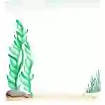 Kelp Forest Journal Page
