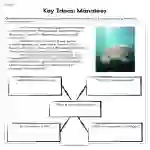 Key Ideas Manatees Worksheet
