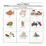 Land and Water Worksheet