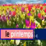 Les Saisons de l'année