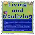 Living and Nonliving Activity