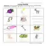 Long Vowels Writing Worksheet