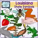 Louisiana State Symbols Clip Art