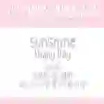 LSF Fonts: Volume 13