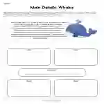 Main Details Whales Worksheet