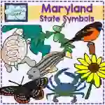 Maryland State Symbols Clipart