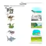 Matching Animal Habitats Worksheet