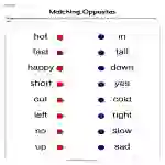 Matching Opposites Worksheet