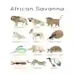 MORE African Savanna Animals